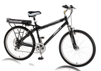 Ezip Eco-Ride Electric Bicycle Parts